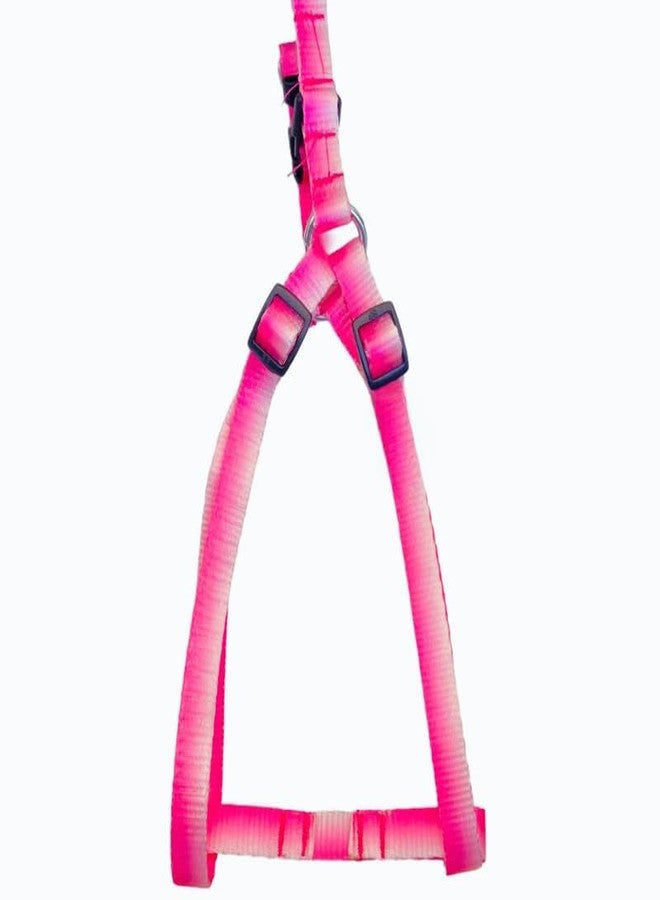 KittuPet طقم سرج ومقود للكلاب من KittuPet - سرج قابل للتعديل للكلاب بدون شد مع مقود بطول 3 أقدام - حلقة مزدوجة على شكل حرف D، سهل الارتداء - سهل المشي والجري والتدريب للكلاب من السلالات الكبيرة، متدرج من الأبيض إلى الوردي - Image 3